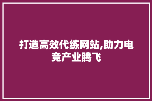 打造高效代练网站,助力电竞产业腾飞 神马SEO