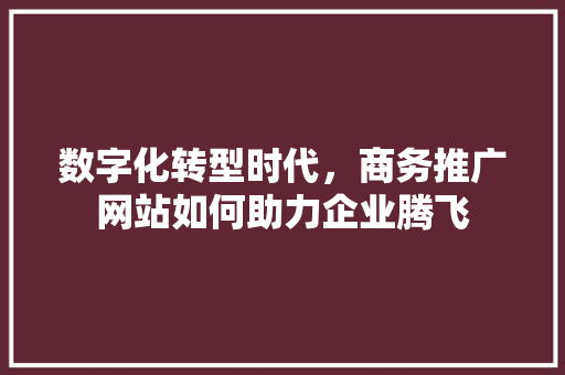 数字化转型时代，商务推广网站如何助力企业腾飞 必应SEO