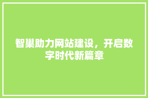智巢助力网站建设，开启数字时代新篇章 神马SEO