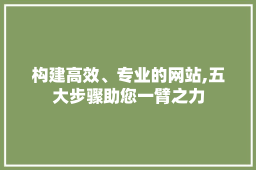 构建高效、专业的网站,五大步骤助您一臂之力