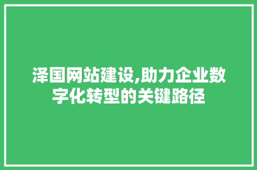泽国网站建设,助力企业数字化转型的关键路径