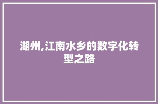 湖州,江南水乡的数字化转型之路