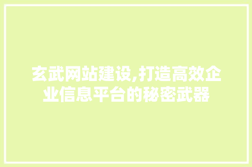 玄武网站建设,打造高效企业信息平台的秘密武器