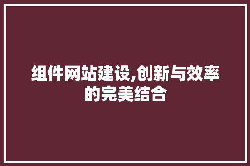 组件网站建设,创新与效率的完美结合