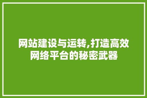 网站建设与运转,打造高效网络平台的秘密武器