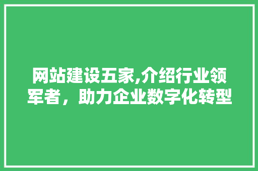 网站建设五家,介绍行业领军者，助力企业数字化转型升级