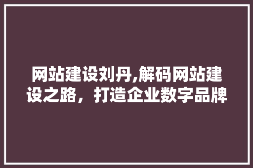 网站建设刘丹,解码网站建设之路，打造企业数字品牌新高度 神马SEO
