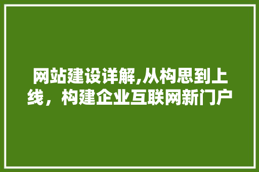 网站建设详解,从构思到上线，构建企业互联网新门户