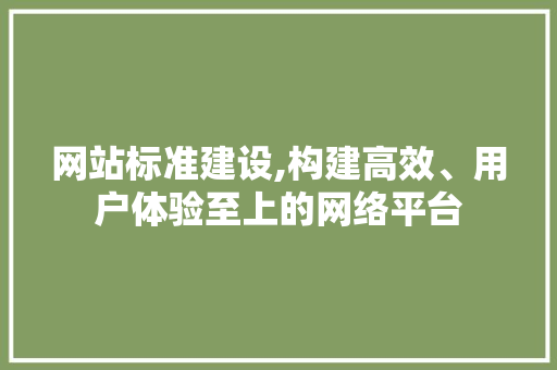 网站标准建设,构建高效、用户体验至上的网络平台