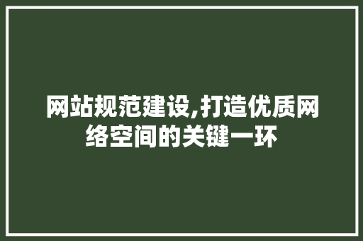 网站规范建设,打造优质网络空间的关键一环