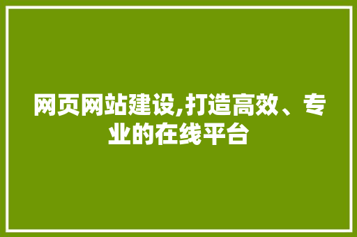 网页网站建设,打造高效、专业的在线平台