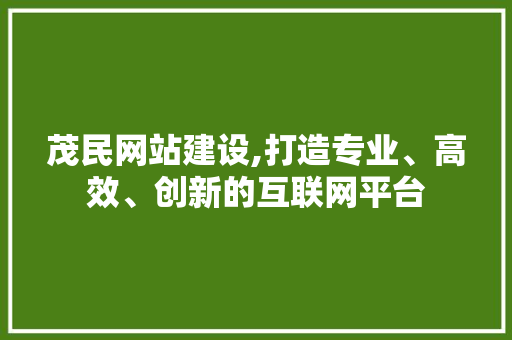 茂民网站建设,打造专业、高效、创新的互联网平台
