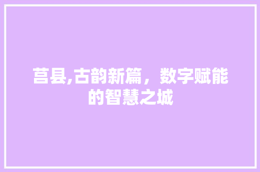 莒县,古韵新篇，数字赋能的智慧之城