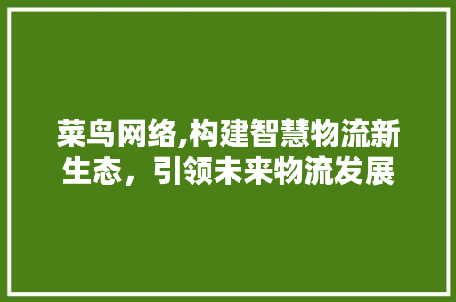 菜鸟网络,构建智慧物流新生态，引领未来物流发展
