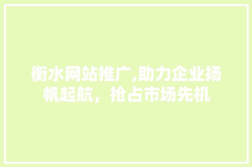 衡水网站推广,助力企业扬帆起航，抢占市场先机