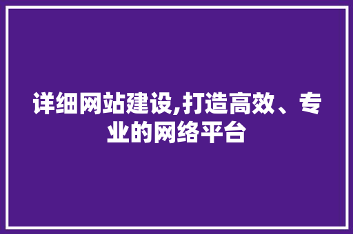 详细网站建设,打造高效、专业的网络平台