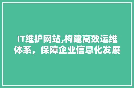 IT维护网站,构建高效运维体系，保障企业信息化发展