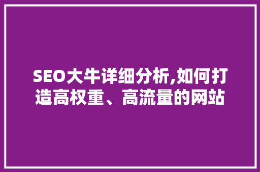 SEO大牛详细分析,如何打造高权重、高流量的网站