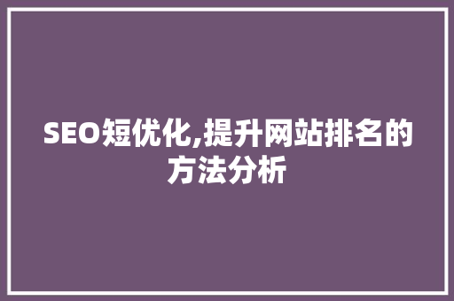 SEO短优化,提升网站排名的方法分析 搜狗SEO
