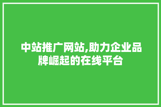 中站推广网站,助力企业品牌崛起的在线平台 搜狗SEO