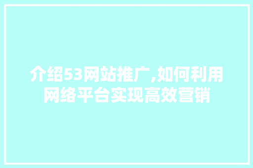 介绍53网站推广,如何利用网络平台实现高效营销