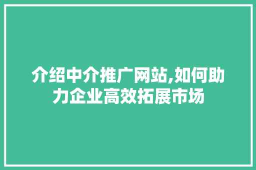 介绍中介推广网站,如何助力企业高效拓展市场