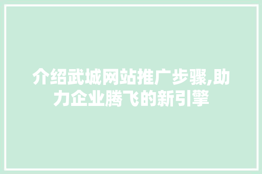 介绍武城网站推广步骤,助力企业腾飞的新引擎 神马SEO