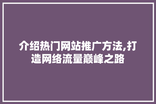 介绍热门网站推广方法,打造网络流量巅峰之路