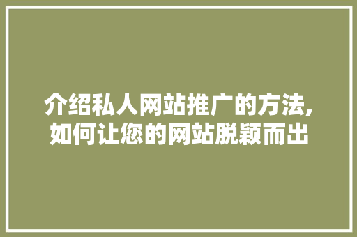 介绍私人网站推广的方法,如何让您的网站脱颖而出 搜狗SEO
