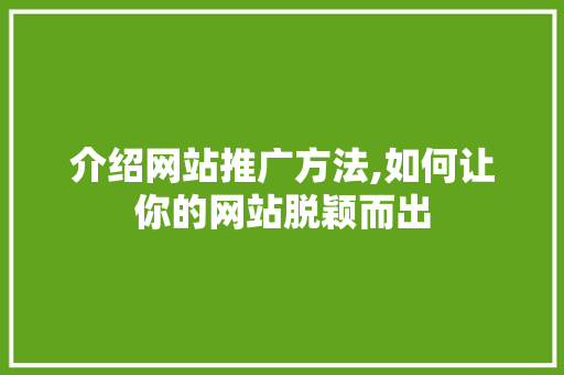 介绍网站推广方法,如何让你的网站脱颖而出 神马SEO
