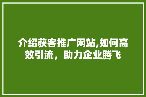 介绍获客推广网站,如何高效引流，助力企业腾飞 搜狗SEO