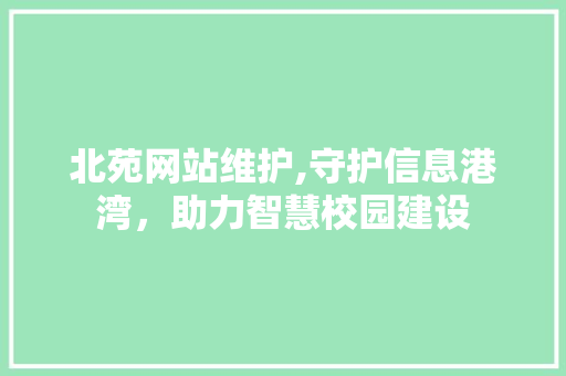 北苑网站维护,守护信息港湾，助力智慧校园建设