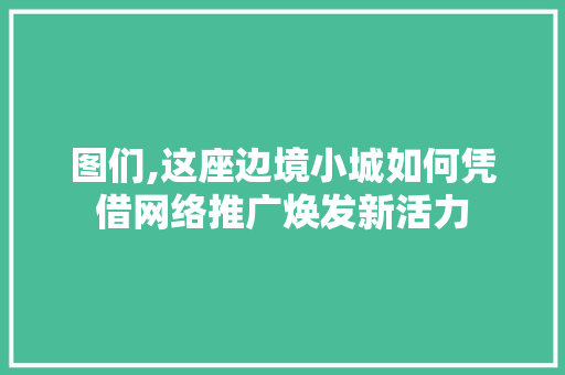图们,这座边境小城如何凭借网络推广焕发新活力 必应SEO