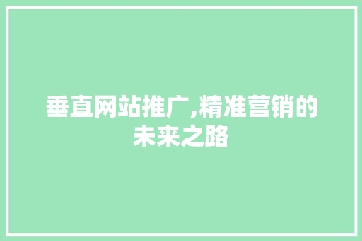 垂直网站推广,精准营销的未来之路 百度SEO