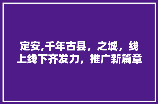 定安,千年古县，之城，线上线下齐发力，推广新篇章 必应SEO