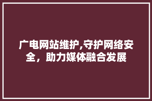 广电网站维护,守护网络安全，助力媒体融合发展