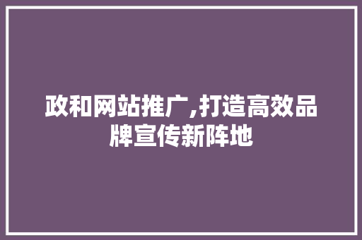 政和网站推广,打造高效品牌宣传新阵地
