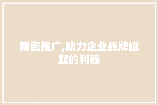 新密推广,助力企业品牌崛起的利器