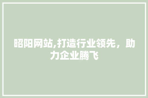 昭阳网站,打造行业领先，助力企业腾飞
