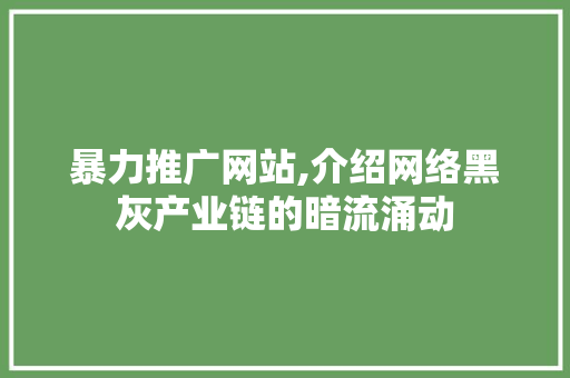 暴力推广网站,介绍网络黑灰产业链的暗流涌动
