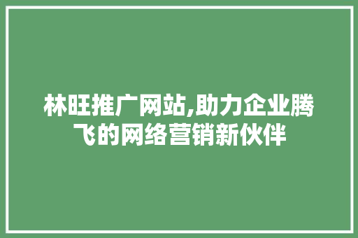 林旺推广网站,助力企业腾飞的网络营销新伙伴