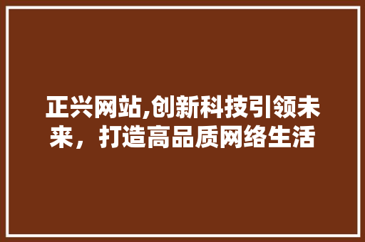 正兴网站,创新科技引领未来，打造高品质网络生活 GoogleSEO