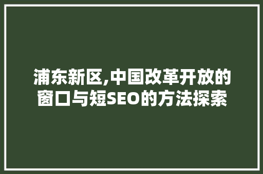浦东新区,中国改革开放的窗口与短SEO的方法探索 必应SEO