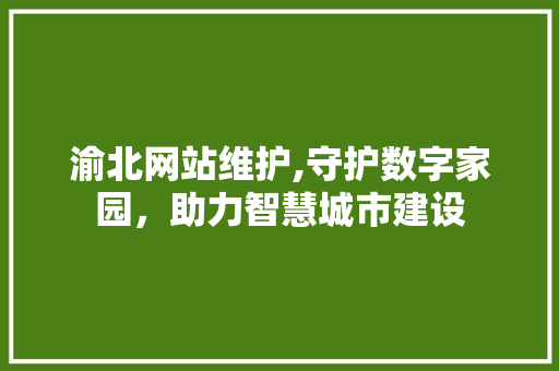 渝北网站维护,守护数字家园，助力智慧城市建设