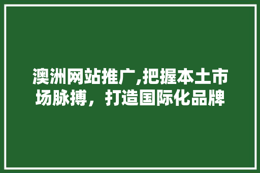 澳洲网站推广,把握本土市场脉搏，打造国际化品牌 必应SEO