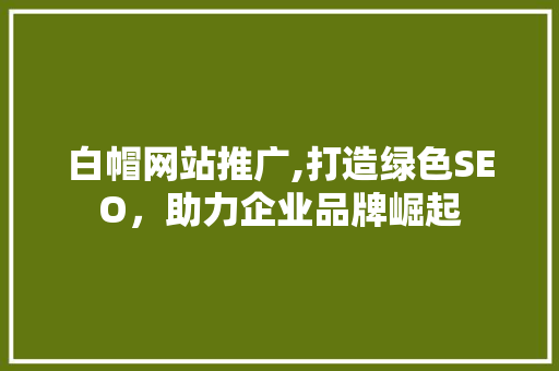 白帽网站推广,打造绿色SEO，助力企业品牌崛起 GoogleSEO
