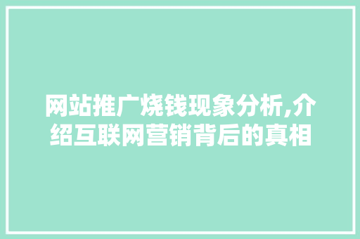 网站推广烧钱现象分析,介绍互联网营销背后的真相 必应SEO