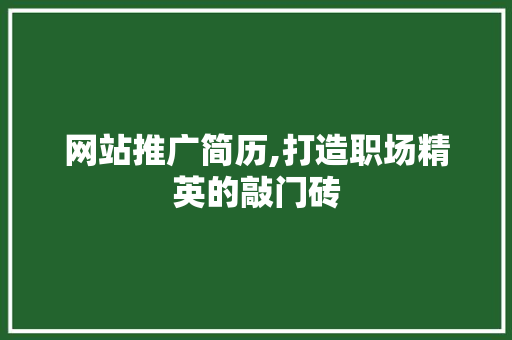 网站推广简历,打造职场精英的敲门砖