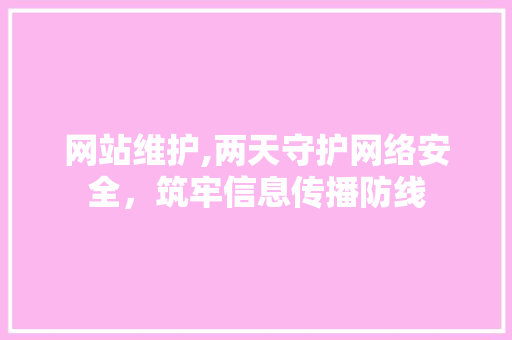 网站维护,两天守护网络安全，筑牢信息传播防线