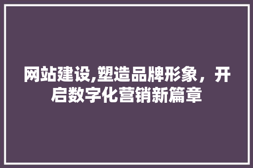 网站建设,塑造品牌形象，开启数字化营销新篇章 GoogleSEO